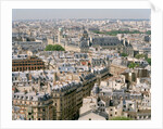 Paris as Seen from Notre Dame by Anonymous