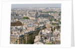 Paris as Seen from Notre Dame by Anonymous