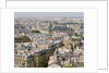 Paris as Seen from Notre Dame by Anonymous