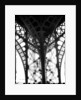 Leg of Eiffel Tower by Anonymous