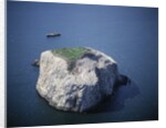 Bass Rock by Anonymous