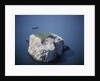 Bass Rock by Anonymous