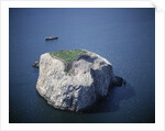 Bass Rock by Anonymous