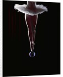 Ballerina Balancing on a Bubble by Anonymous