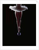 Ballerina Balancing on a Bubble by Anonymous