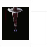 Ballerina Balancing on a Bubble by Anonymous