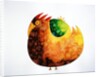 Rooster in the morning by Anonymous