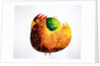 Rooster in the morning by Anonymous