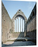 Ruins of the Dominican Abbey of Kilmallock by Anonymous