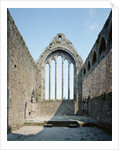Ruins of the Dominican Abbey of Kilmallock by Anonymous