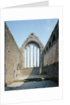 Ruins of the Dominican Abbey of Kilmallock by Anonymous