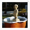 Urinating Boy Fountain by Anonymous