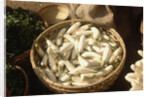 Basket of White Eggplants at the Market by Anonymous