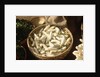 Basket of White Eggplants at the Market by Anonymous