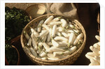 Basket of White Eggplants at the Market by Anonymous