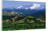 Mountains at Los Padres National Forest by Anonymous