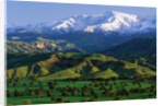 Mountains at Los Padres National Forest by Anonymous