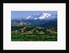 Mountains at Los Padres National Forest by Anonymous