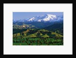 Mountains at Los Padres National Forest by Anonymous