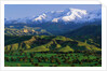 Mountains at Los Padres National Forest by Anonymous