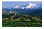 Mountains at Los Padres National Forest by Anonymous