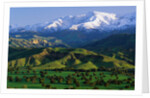 Mountains at Los Padres National Forest by Anonymous