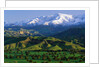Mountains at Los Padres National Forest by Anonymous