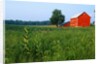 Red Barn in Green Field by Anonymous