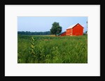 Red Barn in Green Field by Anonymous