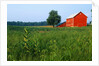 Red Barn in Green Field by Anonymous
