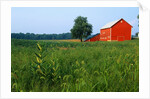 Red Barn in Green Field by Anonymous