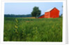 Red Barn in Green Field by Anonymous