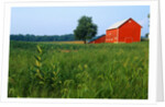 Red Barn in Green Field by Anonymous