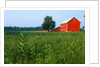 Red Barn in Green Field by Anonymous