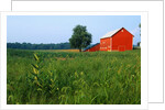 Red Barn in Green Field by Anonymous