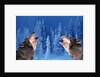 Pair of Howling Gray Wolves by Anonymous