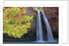 Havasu Falls by Anonymous