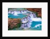 Supai Creek by Anonymous