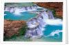 Supai Creek by Anonymous