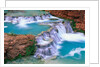 Supai Creek by Anonymous