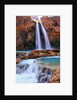 Havasu Falls by Anonymous