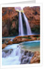 Havasu Falls by Anonymous