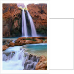 Havasu Falls by Anonymous