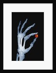 Skeletal Hand Holding Computer Chip by Anonymous