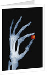 Skeletal Hand Holding Computer Chip by Anonymous