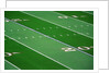 Football Field by Anonymous