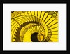View from Above of Spiral Staircase by Anonymous