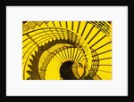 View from Above of Spiral Staircase by Anonymous