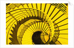 View from Above of Spiral Staircase by Anonymous