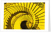 View from Above of Spiral Staircase by Anonymous